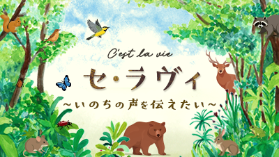 セ・ラヴィ～いのちの声を伝えたい～