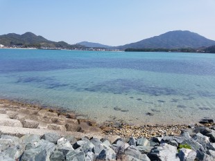 海辺の風景