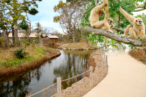 動物園内の風景