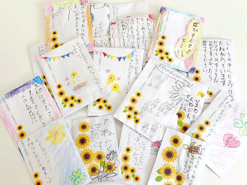 糸島市立南風小学校3年生の皆さんが「ひまわりの種」を丁寧に袋詰めしてくれました｡