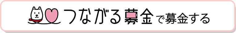 つながる募金で募金する