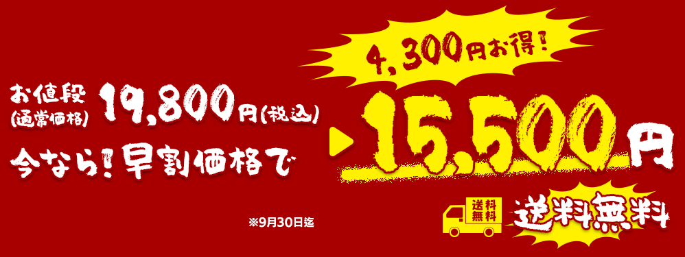 通常価格15,500円