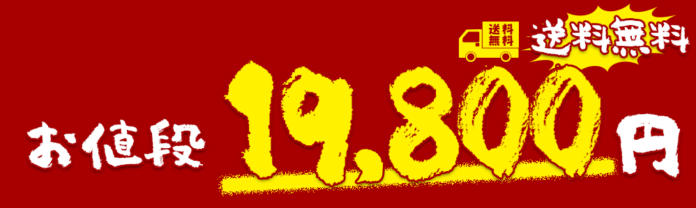 通常価格19,800円
