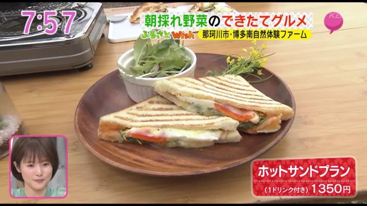 収穫した野菜を使って作る「ホットサンドプラン（1ドリンク付き）」