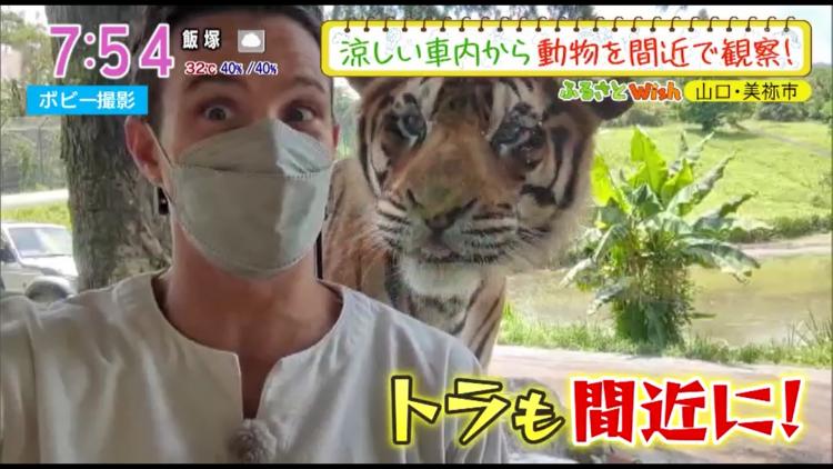 猛暑に嬉しい♪美祢市の“涼”を感じるスポット巡り！～ふるさとWish山口県美祢市～