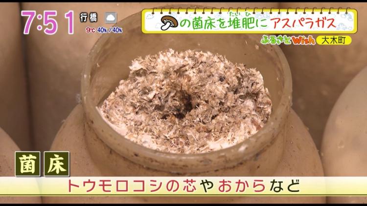 トウモロコシの芯やおからなどが使われている「菌床」