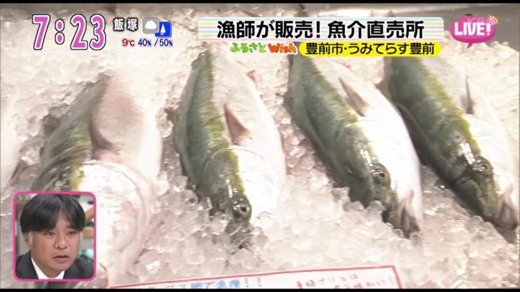 見る、買う、食べる、ぜ～んぶ楽しい！漁師さんが対面販売する魚介直売所 ～ふるさとWish豊前市～