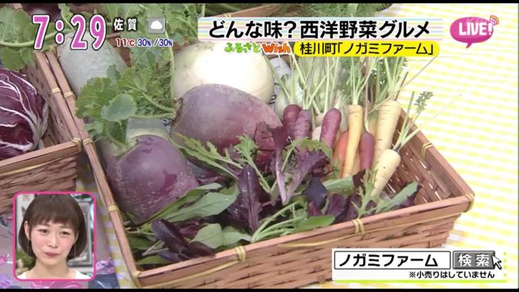 いつもの料理が3ランクは上がる！今注目のエディブルフラワー＆西洋野菜～ふるさとWish桂川町～