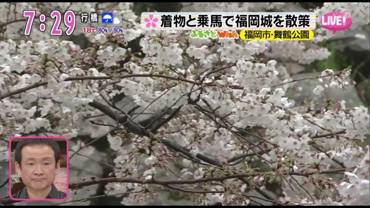 着物＆乗馬で桜咲く福岡城跡を散策♪～ふるさとWish福岡市～