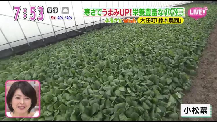 1棟で3～4000株を栽培