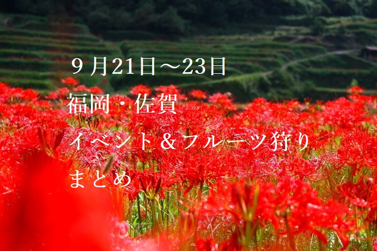 【週末おでかけ♪】福岡・佐賀 9/21～23に予定されているイベント＆フルーツ狩りまとめ