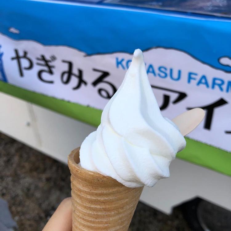 福岡市近郊で買える！めずらし系スイーツ4選