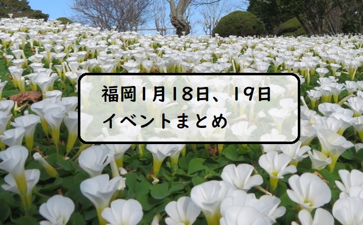 【週末おでかけ♪】福岡　1/18、19に予定されているイベントまとめ