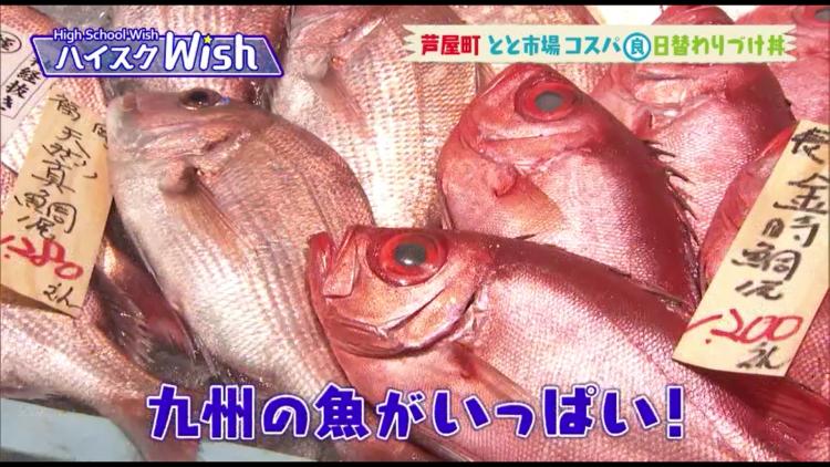 とと市場内で販売している魚　どれも新鮮！