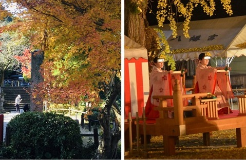 【紅葉見に行こう♪】11/19筑紫野でJR九州の紅葉ウォーキング♪色付いた二日市八幡宮＆武蔵寺を巡ろう！3つのイベントも同時開催