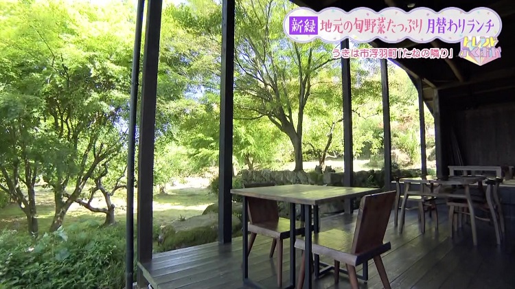 鳥のさえずりが聞こえる山々に囲まれた『cafeたねの隣り』で旬のお野菜ランチ（うきは市）【トレンド】