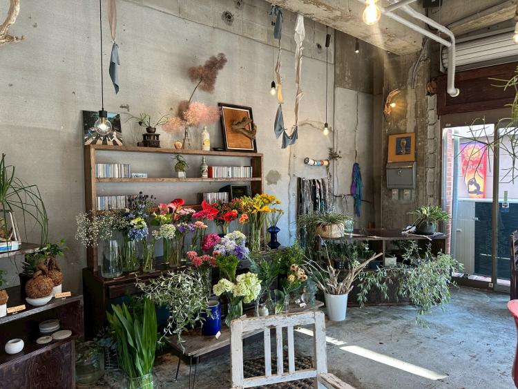 ニューオープン！今話題の糸島植物カフェ！「植物をもっと身近に」若者3人の想いが詰まった「植物屋」（福岡・糸島市）【まち歩き】