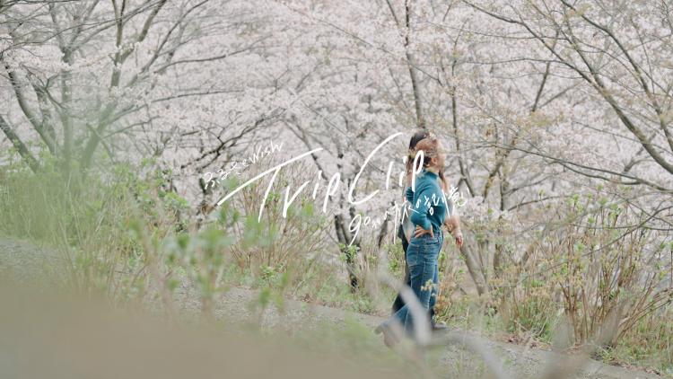 【Trip Clip】90秒の旅の記憶（糸田町編）「こんないいとこあったんだ」県内屈指のお花見名所＆地元グルメツアーを満喫！