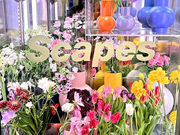 【まち歩き】『Scapes』おしゃれがギュっと詰まった