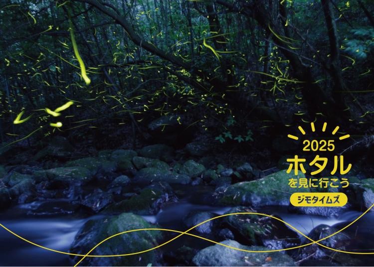 【2025ホタルを見に行こう！】九州でも有数の名所・祇園川に数十万匹が乱舞 6/8まで案内期間（佐賀県小城市）