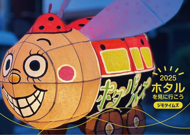 【2025ホタルを見に行こう！】6/9まで『ホタルバス』運行中！温泉入って幻想的なホタルの舞を体験しよう（佐賀県嬉野市）