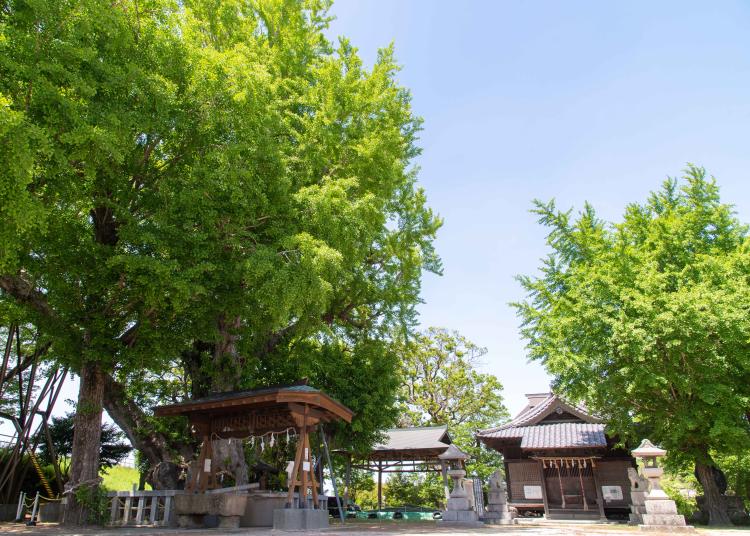 記憶をたどり、未来にふれる町へ。水巻町で出会う、歩いて感じる3つの物語（福岡・水巻町）【まち歩き】