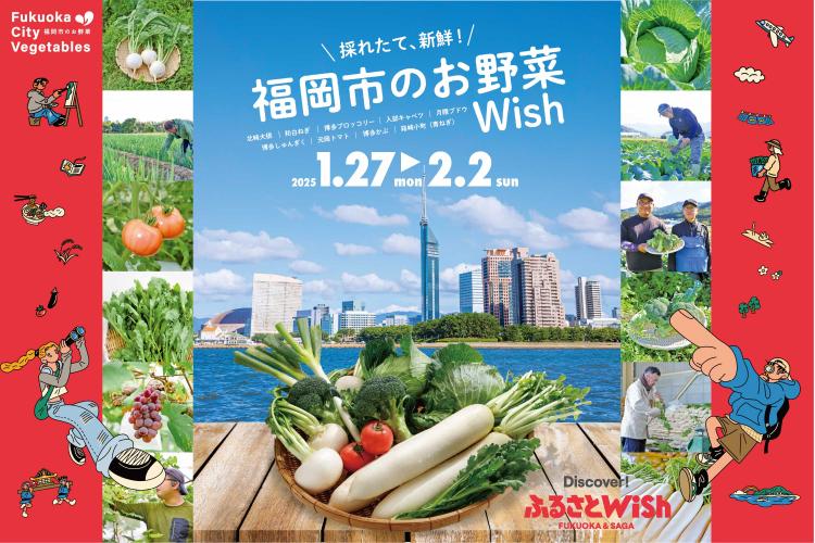 【ふるさとWish】1/27(月)～2/2 (日)福岡市のお野菜Wish