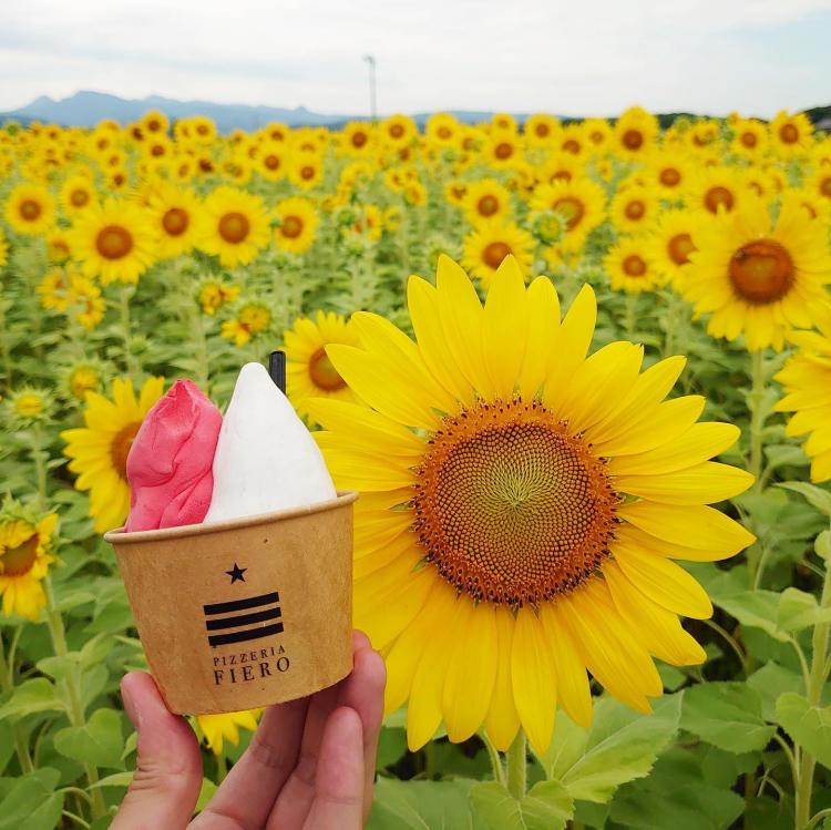 暑い夏にこそ行きたい！レモン香る町「上毛町」にある『道の駅しんよしとみ』でさわやかグルメ満喫♪