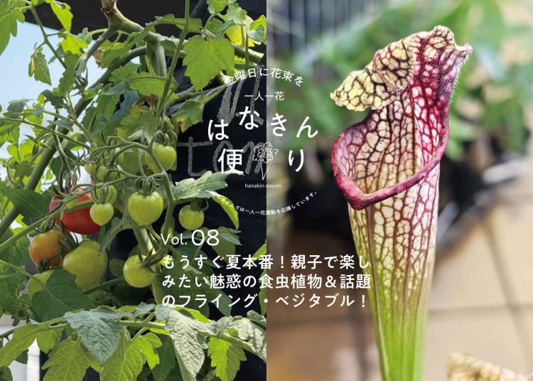 もうすぐ夏本番！親子で楽しみたい魅惑の食虫植物＆話題のフライング・ベジタブル！【一人一花はなきん便りVol.08】