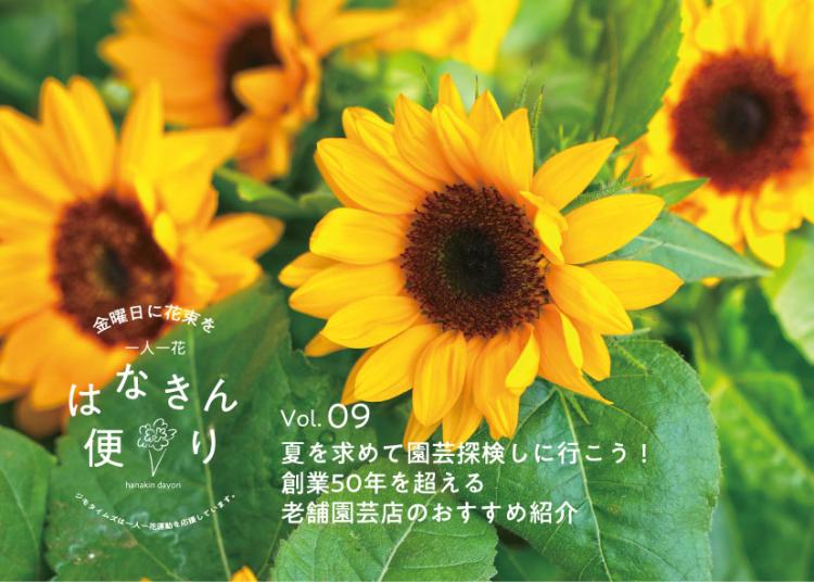 梅雨明け宣言！夏を求めて園芸探検しに行こう！創業50年を超える老舗園芸店のおすすめ紹介【一人一花はなきん便りVol.9】