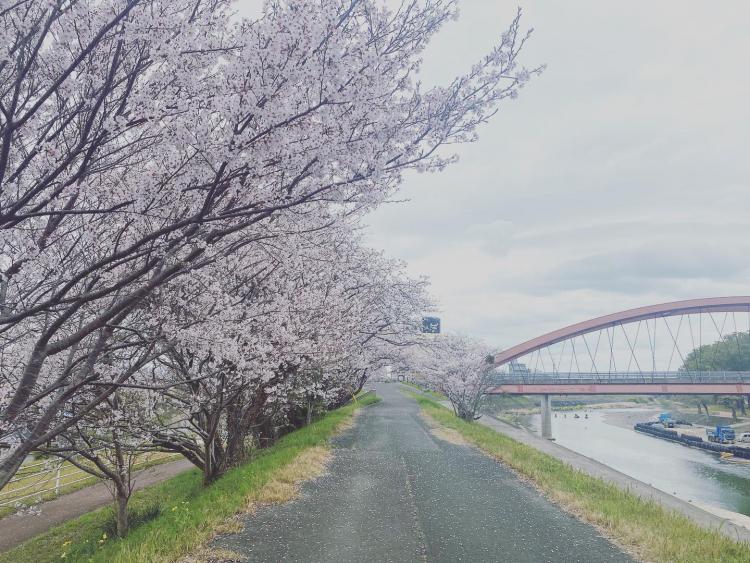 【桜＆お花見グルメ】桜も！買い物も！温泉も！『筑後広域公園』で身も心も温まる春を満喫♪（筑後市）