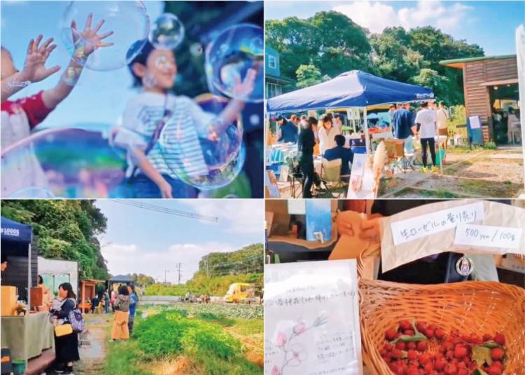 海！畑！花！3カ所のイベントを同時に楽しもう　6/15『2025“春”農漁花（のうりょうか）フェス』（北九州市若松区）【イベント】