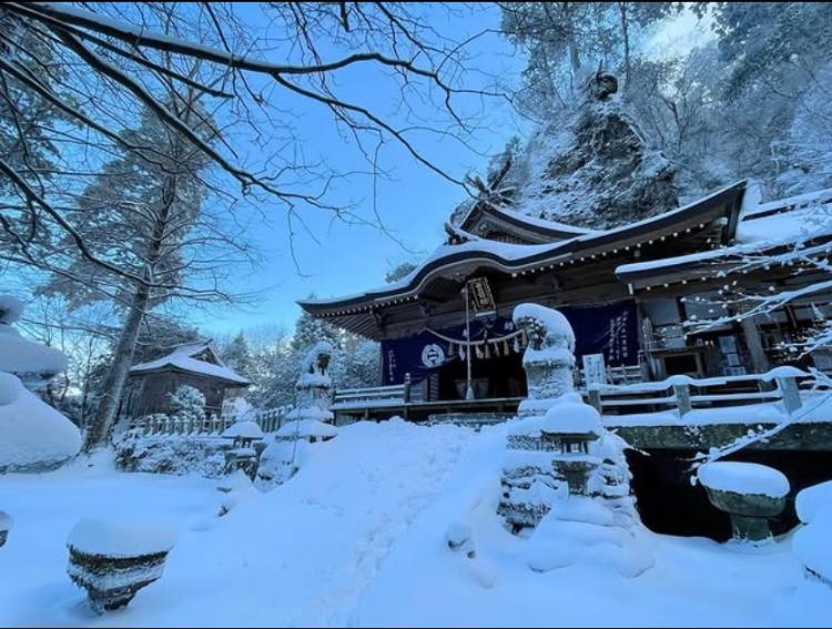 【3連休に初詣】約1000年の歴史を持つ天狗杉が境内に英彦山高住神社でパワーをもらいましょう（添田町）