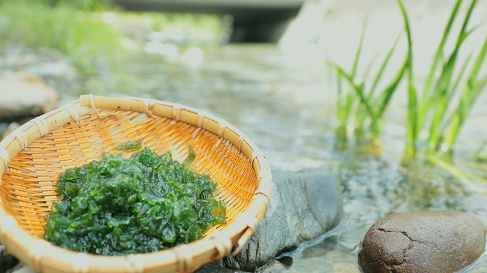 ”食べて救う”絶滅危惧種の郷土食　中洲の料理人「できることを」～ふるさとWish朝倉市～