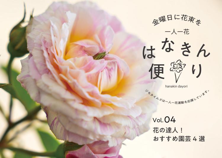 今が最盛バラからベランダ菜園まで！花の達人！おすすめ園芸4選【一人一花はなきん便り】