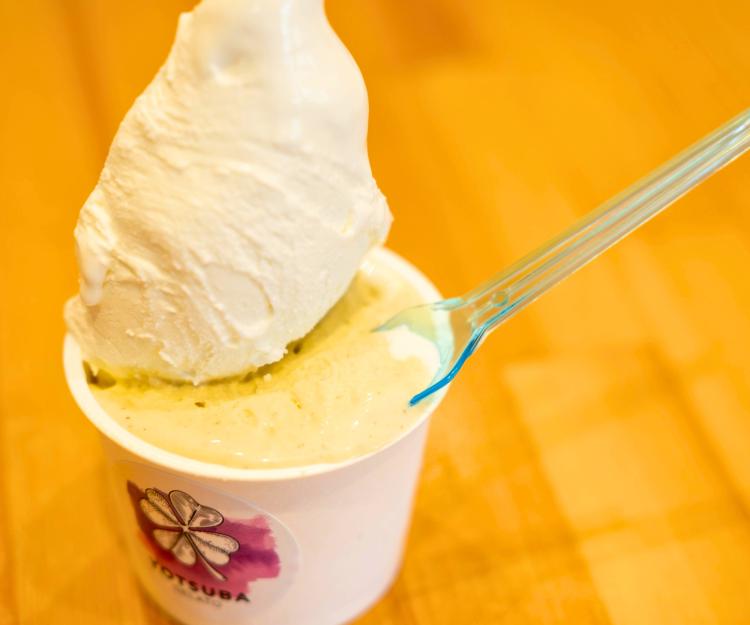 絶品ジェラート！四つ葉のクローバーのように！地元の子どもたちに笑顔を届ける「よつばジェラート」（福岡・水巻町）【まち歩き】