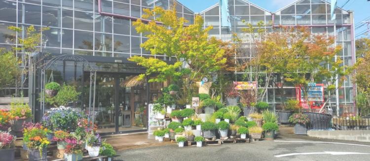 【ニューオープン】植物×カフェの新しい癒しスポット♪『cafe anipani』が平田ナーセリー春日店Balcone内に移転オープン！ ※追記しました