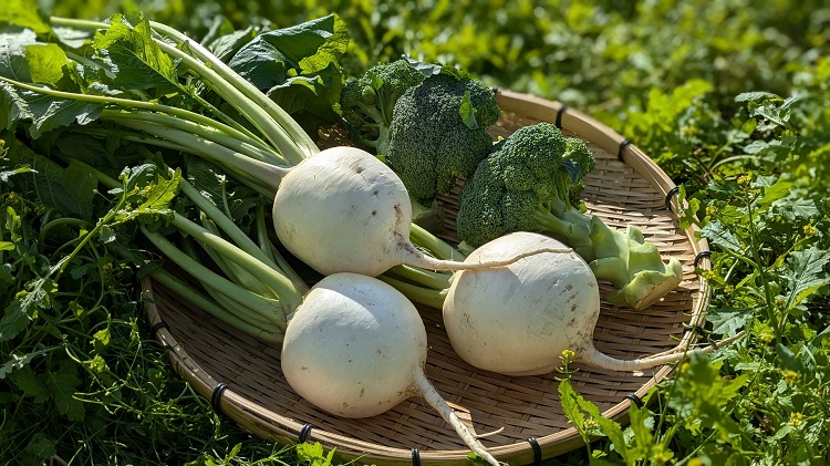 【福岡市産のおいしい野菜をもっと知ってほしい！】福岡市が取り組む生産地とシェフ・バイヤーをつなぐ『アグリビジネスツアー』とは