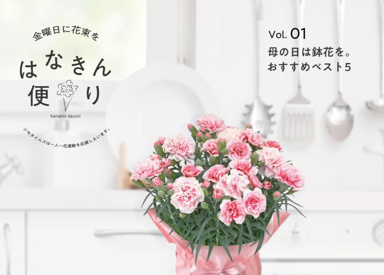 必見！5/11（日）「母の日」おすすめ花ベスト5！大切な人にとっておきの鉢花をプレゼントしよう！【一人一花はなきん便り】