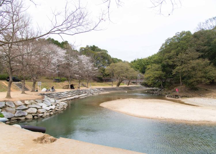 キャンプ×温泉×新設バレルサウナ！一箇所で3度おいしい森で心ほどける“ととのう休日”を『源じいの森』（福岡・赤村）【まち歩き】
