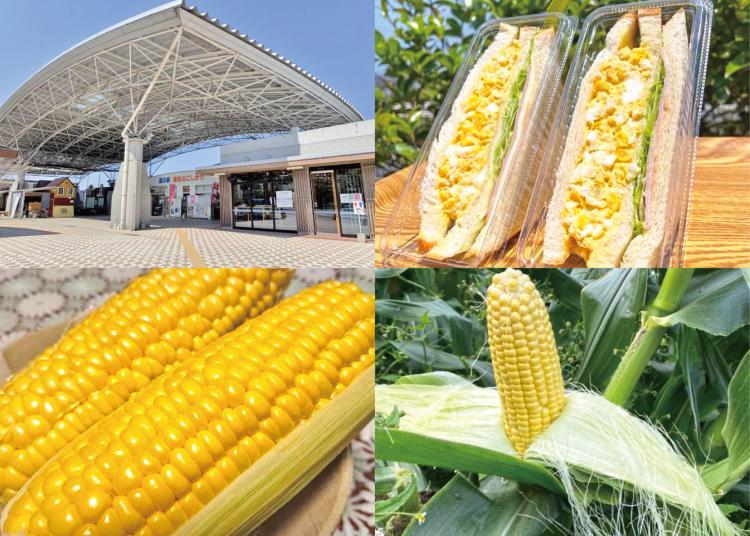 コーンピザ、コーンサンド、コーン弁当・・・スイートコーンだらけの『スイートコーンフェア』6/14・15「道の駅豊前おこしかけ」で開催（福岡・豊前市）【イベント】