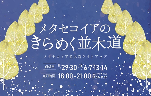 【紅葉イベント】11/29～12/14初開催！紅葉の名所「メタセコイアの並木道」をライトアップ！（築上町）