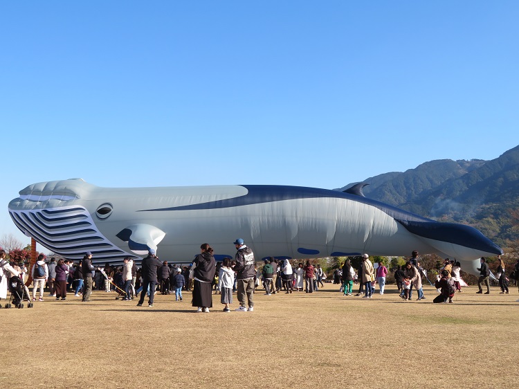 【イベント】1月13日 『たこあげ大会2025』自分で作ってあげてみよう！超巨大なクジラのバルーンカイトも登場！（久留米市）