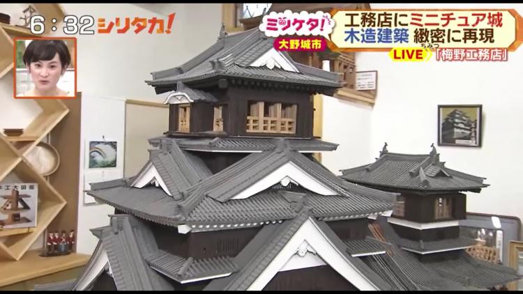 全国のお城や塔が大野城に集結！？78歳本気の城づくり～ふるさとWish大野城市～