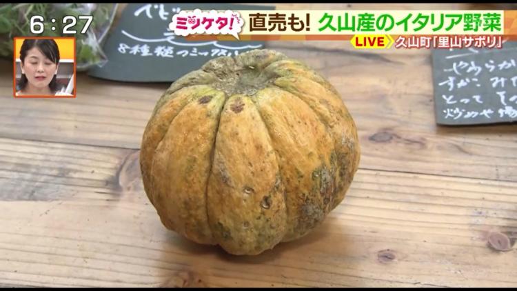 カボチャのようなメロン？！循環型農業で作るイタリアン野菜～ふるさとWish久山町～