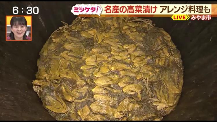 直径も深さも180cmあるという巨大桶！　実は底は土に埋まっているそう