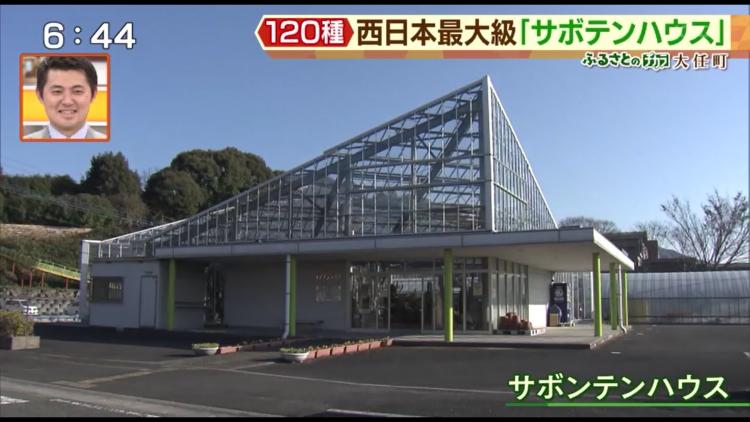 渡邉さんの努力のかいもあり、年々来場者数が増加。5月の初旬には幻想的なサボテンの花が見られる