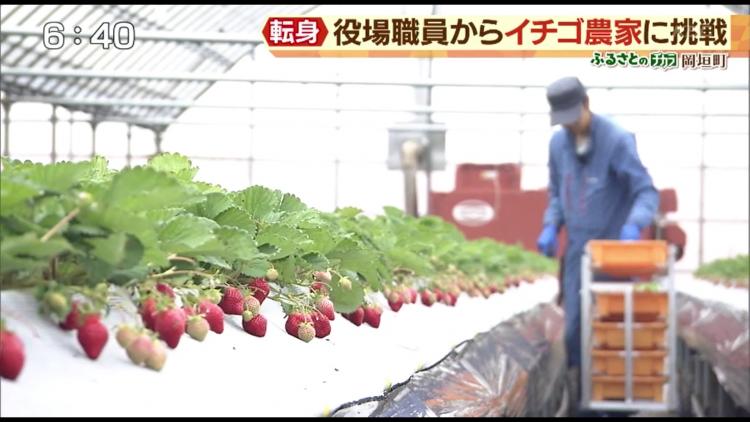 「土とのふれあい、農作物をつくる喜びを間近で感じて転職を決めました」