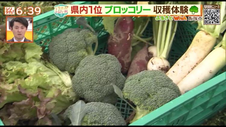 『百笑』で採れた新鮮な野菜