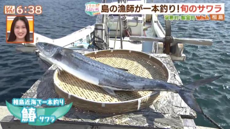 獲れたての鰆を炙りと漬けの2種類で♪新宮町・相島のふるさと丼 ～ふるさとWish新宮町～